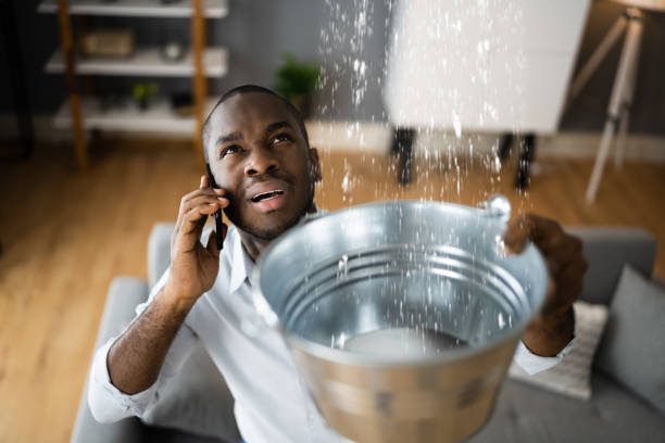 Best Flood damage cleanup  in Santaquin, UT