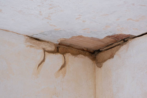 Best Water damage restoration near me  in Santaquin, UT