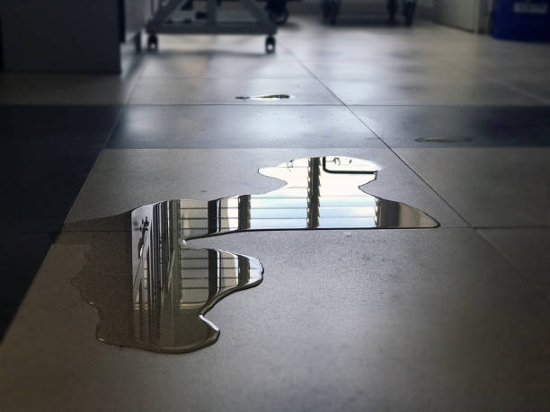 Best Water damage restoration cost  in Santaquin, UT