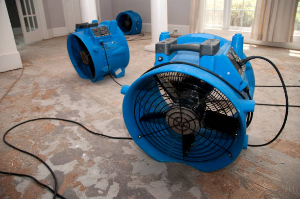 Best Emergency water damage restoration  in Santaquin, UT