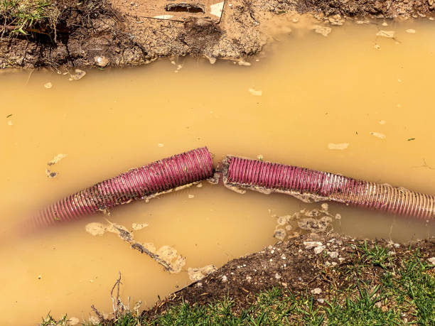 Best Carpet water damage restoration  in Santaquin, UT