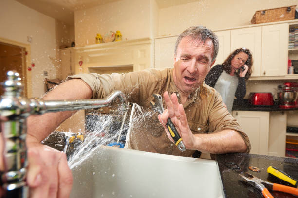 Best Local water damage restoration  in Santaquin, UT